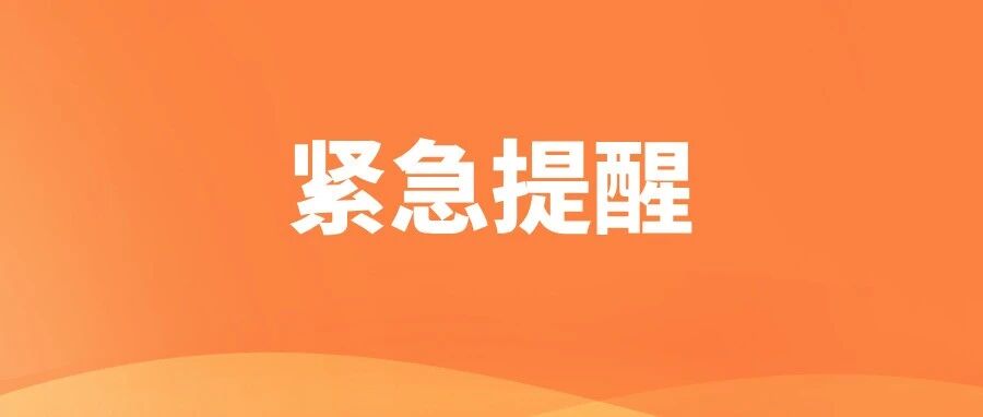 2026郑州小升初材料大排查！你家孩子准备好了吗？